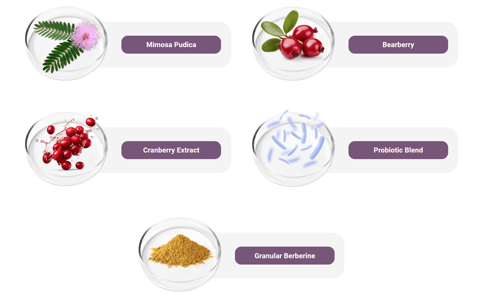 FemiPro Ingredients